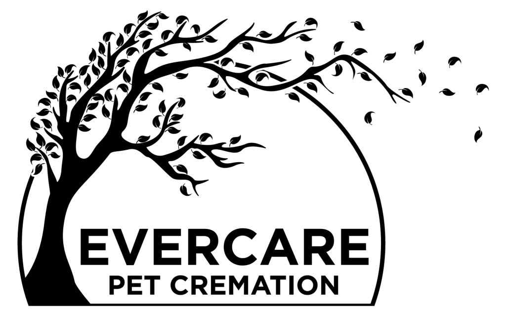 evercare logo