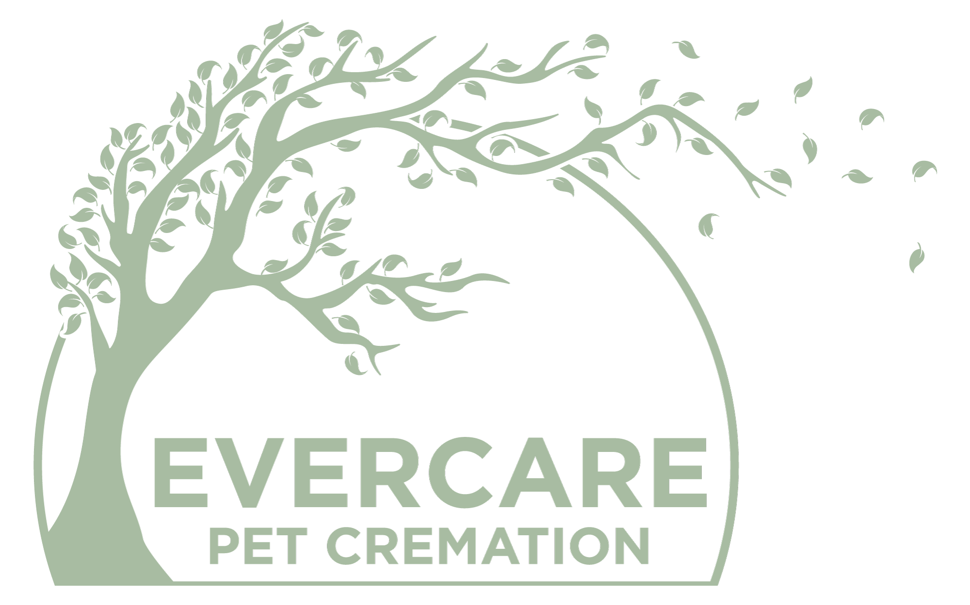 evercare logo